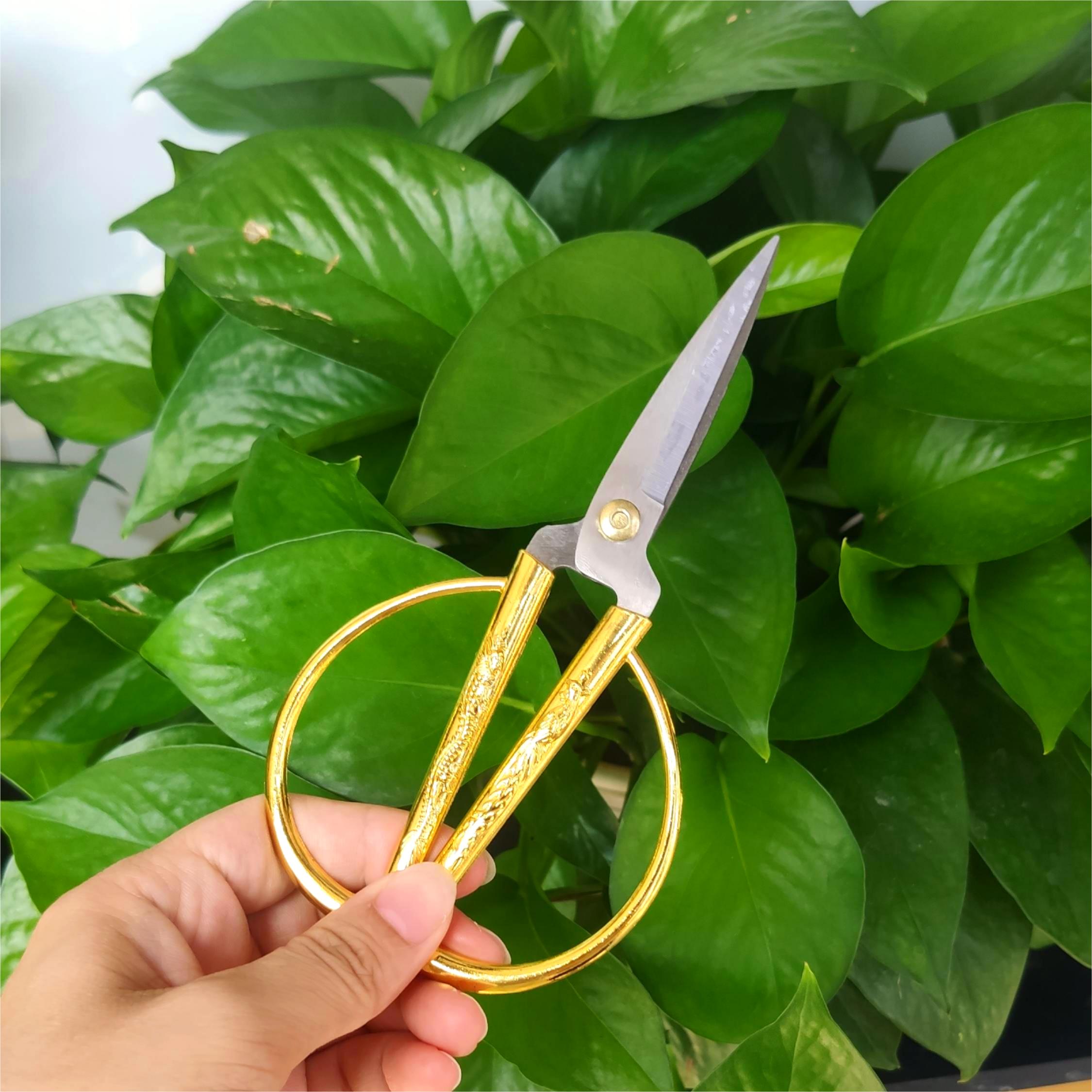 Gold Rug -Trimming Scissors