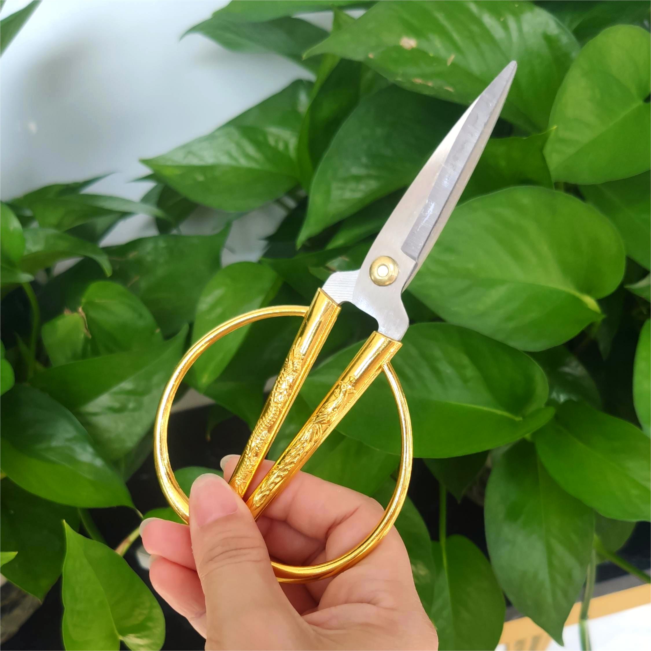 Gold Rug -Trimming Scissors